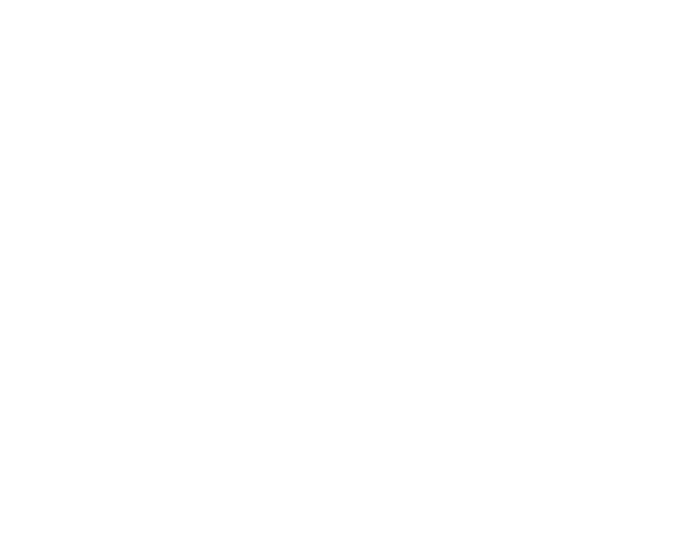 DL Palettenhandel Logo