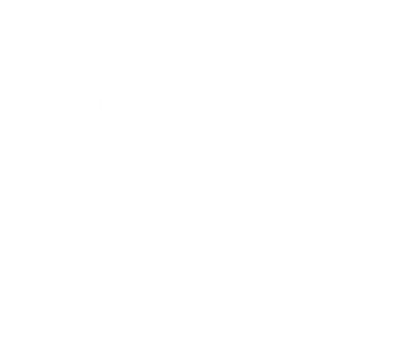 DL Palettenhandel GmbH